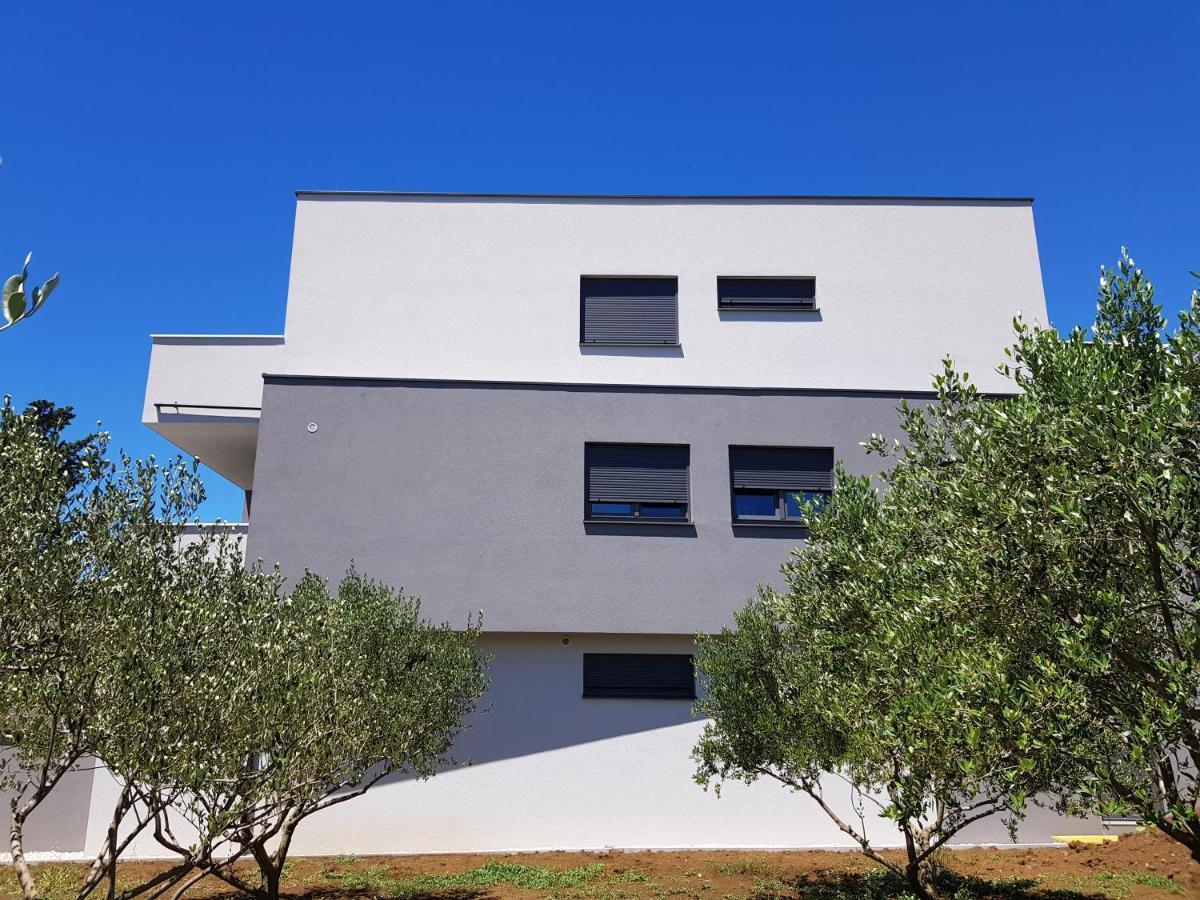Vila Maslina - Apartman 3 Zadar Ngoại thất bức ảnh